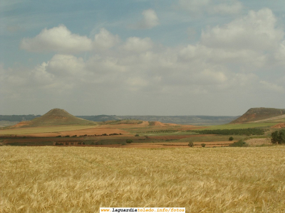 El cerro de la Atalaya. Verano de 2007
Foto tomada desde San Antón el Viejo a finales de Junio como puede verse por lo avanzado de la siembra
