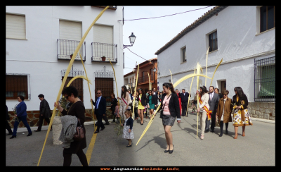 Domingo de Ramos
Domingo de Ramos (29-3-2014)
Palabras clave: Domingo de Ramos