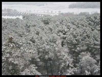 Gran nevada 2009
Fotografía tomada en Enero del 2009, solo es por ver el blanco, que con el otoño e invierno que llevamos, no es solo que no nieva, sino que ni llueve ni hace frío. Navidad 2015.
Que la foto sirva de rogativa y…QUE  LLUEVA, QUE  LLUEVA…    

Palabras clave: otoño  invierno