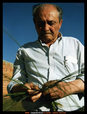 El esparto...dará que hablar...2
D. José Mascaraque trabajando el esparto como nadie, hoy, sabe hacerlo en La Guardia. Estuvimos con él para comprobarlo y pronto le veremos enseñándonos este arte, a sus 88 años de edad.

Palabras clave: Jose Mascaraque esparto