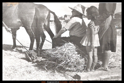 la trilla
La era, Trillando Ino Perea y la niña Pili Orgaz Perea. (1962)
Palabras clave: La era Trillando 