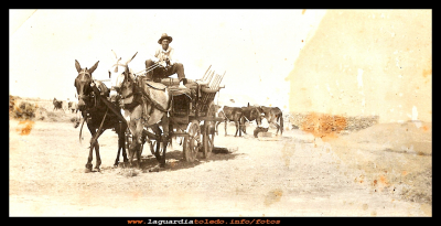 la trilla
Agosto del 1922, después de segar, sacar (traer la mies en haces en carros o galeras a la era)  llega el tiempo de la trilla.
En la foto se ve la galera preparada para cargar la mies.
El trillaor Eugenio Mora.

Palabras clave: segar, sacar la trilla