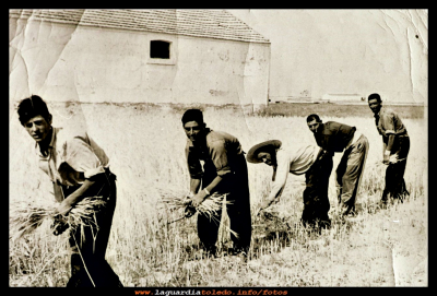 los segadores
Segando de Pepe Gómez: Rufino, Eleuterio Pablo “gatillo”  Pablo “rebeca” y Félix, en el año 1959.
Palabras clave: Segando 