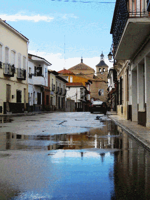 Reflejos en el agua en el día del desfile de Carnaval 2016 que se suspendió por la lluvia. 14-2-1016
Palabras clave: grimores (Juan Luis Redajo)