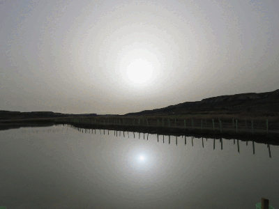 Simetrías en las lagunas un día de calima por polvo sahariano
