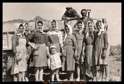 Vendimiadores
Vendimiando de Pepe Guzmán en el año 1960.
Angeles,  Ascensión, Luisa Maroto, Tere Soriano, el niño Rafa de la Mata, Vicenta Morales, Pili, Seve y Manoli Guzmán.
Los hombre encima del remolque son: Faustino Ruiz y Tomás

Palabras clave: Vendimiando