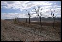 Nombre del archivo=El_camino_al_palomar_lgt.jpg
Tamaño del archivo=244KiB
Dimensiones=1256x856
Fecha añadida=F d, Y El_camino_al_palomar_lgt.jpg