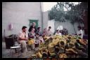 Los girasoles.jpg
