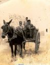con el carro y la mula_final-1300.jpg