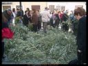 Nombre del archivo=domingo ramos 032.JPG
Tamaño del archivo=942KiB
Dimensiones=1356x1031
Fecha añadida=F d, Y domingo ramos 032.JPG