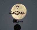 luna-llena-milagrosa.gif