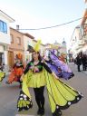 mariposas.JPG