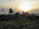 plantas-silvestre-iglesia-amanecer-12-6-2016.gif