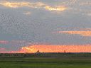puesta-sol-carretera-lillo-15-5-2016.gif