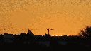 salida-sol-dehesa-monreal.gif