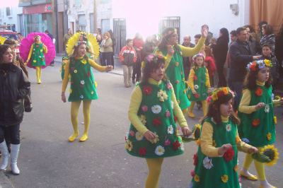 10 de Febrero de 2008. Desfile de Carnaval. Comparsa comarcal
