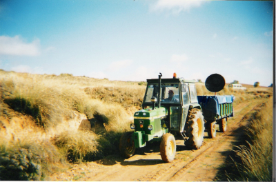 de camino a la viña
en el remolque se observa la cuchara que tanto esfuerzo nos quita para elevar la uva
