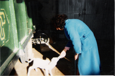 Animales de compañia
como no veo fotos de animales no quiero que se pierdan en el recuerdo
