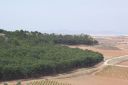 100_0473ajpg.jpg