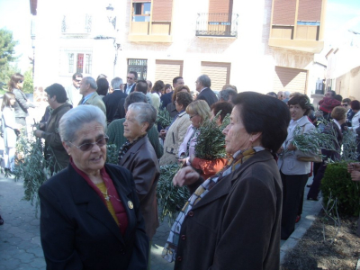 Domingo de Ramos. 5 de abril de 2009
Palabras clave: domingo de ramos