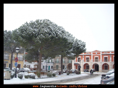 Nevada II. 10 de enero 2010
Plaza Mayor
EL CURSO DEL AÑO: el invierno
Palabras clave: nieve 2010