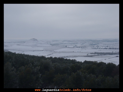 Nevada IV. 10 de enero de 2010
El cerro de la atalaya
EL CURSO DEL AÑO: el invierno
Palabras clave: nieve 2010