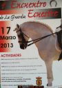 caballos.jpg