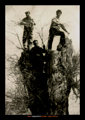 1970 - José, Alfonso y Juan de broma en El Alamillo
Ver este link [url=http://es.games-workshop.com/lotr/ayudas/regles/ents.asp]http://es.games-workshop.com/lotr/ayudas/regles/ents.asp[/url] para descubrir una curiosa coincidencia.
Palabras clave: 1970 - José, Alfonso y Juan de broma en El Alamillo