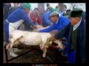 Nombre del archivo=Matanza_lgt.jpg
Tamaño del archivo=141KiB
Dimensiones=1188x886
Fecha añadida=F d, Y Matanza_lgt.jpg