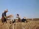 Nombre del archivo=la_venganza_segando_tierra_del_conde.mp4
Tamaño del archivo=28919KiB
Dimensiones=800x600
Fecha añadida=F d, Y la_venganza_segando_tierra_del_conde.mp4