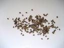 CAÑAMON 010.JPG