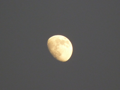 Taller de la Asociación "Sol y Luna"
