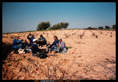 La poda
Año 1994, Miguel López, Eulogio Morales, Flores Hijosa, Amancio Nuño, Miguel Potenciano y Amancio (el de la calle La Rosa) haciendo un descanso en su tarea de la poda.

Palabras clave: un descanso en la poda