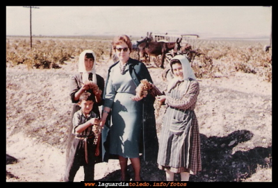 La vendimia
Vendimia del año 1959, en la foto, empezando por la izquierda Tere, una señora alemana, Pepa Morales, y el niño, Jesús “Castañetas”. Estando de vendimia en la Grumona paró un coche (pues la viña estaba cerca de la carretera) bajándose un matrimonio de él. Se acercaron a los vendimiadores, preguntando si podían venderles unas uvas y éstos se las regalaron. En agradecimiento les hicieron esta fotografía y el matrimonio tuvo el detalle de mandarla desde Francfort  (Alemania).

Palabras clave: Fotografía detalle de mandarla desde Francfort Alemania