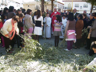 Domingo de ramos, 5 de Abril  del 2009 Don Florencio bendiciendo los ramos.

Palabras clave: Domingo de ramos