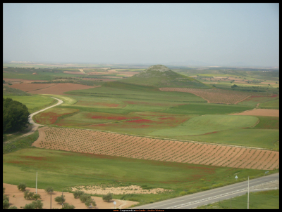 la Atalaya
23 de Mayo 2010. Nuestro vigía, engalanado con sus mejores galas, las que le ofrece la primavera, rodeado de viñas, trigales y amapolas. 

Palabras clave:  Rodeado de viñas, trigales y amapolas