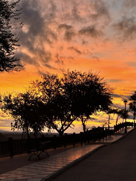 Atardecer dia 25
25-9-24
