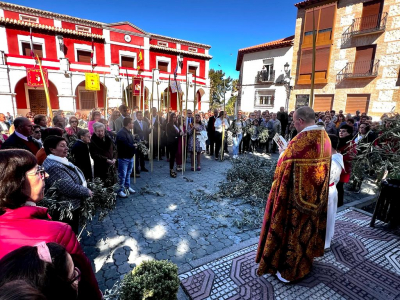 Domingo de Ramos
2-4-2023
