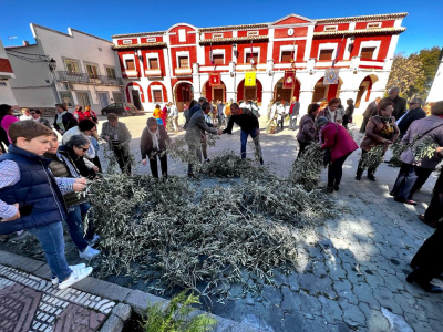 Domingo de Ramos
2-4-2023

