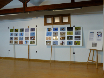 Inauguración de exposiciones en la Casa de los Jaenes 23-9-22
Exposición de la AC Amigos de las Lagunas

