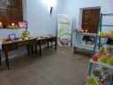 P1100867.JPG