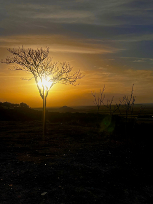 Atardecer desde el cementerio
Diferentes puntos de vista del mismo paisaje
