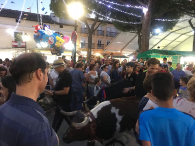 Encierro infantil
27-9-18

