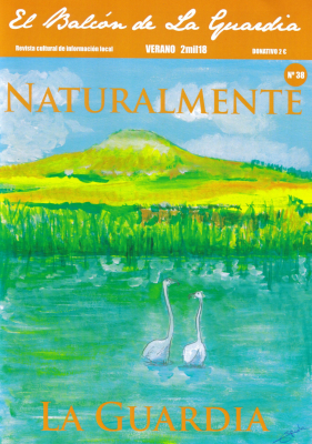 El Balcón de la Guardia nº 38 YA A LA VENTA
En este número encontaremos:

-      Restauración de la Capilla de los Capellanes.

-      Entrevista a Eulogio Morales

-      El catastro en españa

-      Primer aniversario de la Asociación "Amigos de las Lagunas"

-      Además de las secciones habituales. Libros, >Colegio, Homiguar, Naturaleza, Nuestros mayores, fotografia, premios, deporte, gastronomia,etc.

