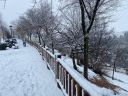 IMG-20210107-WA0044.jpg