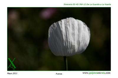 Pureza
ASOCIACIONES DEPORTIVAS: < pTuPI - Quijotes en Ruta
Palabras clave: Pureza