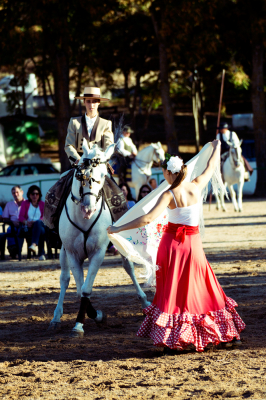 Exhibición ecuestre. (Fiestas 2014)
Palabras clave: fiestas 2014
