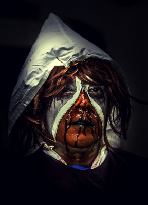 La casa del terror 2013 ( El guía)
Palabras clave: la casa del terror, el trajín