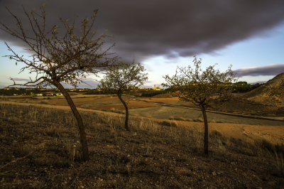 Noviembre. (5-11-2013)
Atardecer de Noviembre desde el cerro de la Atalaya con vistas al pueblo.
A falta de eventos en estas fechas, creo que los atardeceres de estos días son todo un acontecimiento.
Palabras clave: otoño, noviembre