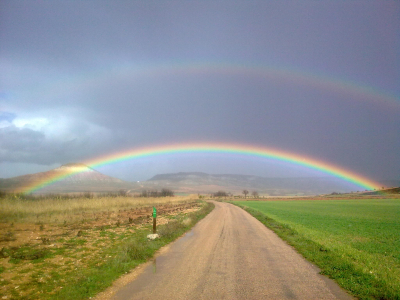 Camino de La Laguna
Imagen captada en la primavera de 2011. 
Así es como debería estar en la época que estamos nuestro campo. Ojalá pronto podamos disfrutar de este verde tan deseado por todos.
La foto está sacada con un móvil de 2.0 megapixeles, pero la imagen lo compensa.
LOS ESCENARIOS DE LA VIDA: el municipio y su entorno, La Laguna
